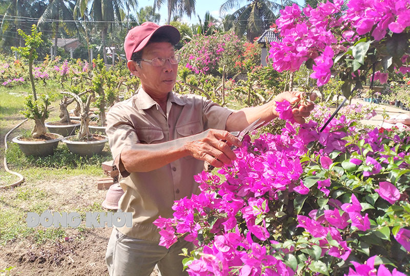 Cựu chiến binh Nguyễn Văn Rua chăm sóc bon sai hoa giấy.