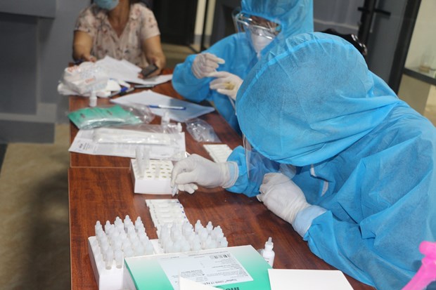Nhân viên y tế test nhanh các mẫu bệnh phẩm. Ảnh: Bích Huệ/TTXVN