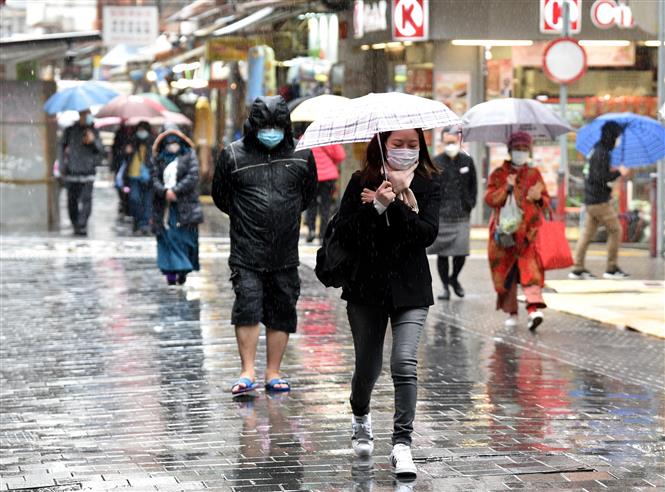 Nghiên cứu mới nhất về nguồn gốc đại dịch; Hàn Quốc ca mắc mới cao nhất thế giới Người dân di chuyển trên phố ở Hong Kong, Trung Quốc ngày 21-2-2022. Ảnh: THX/TTXVN