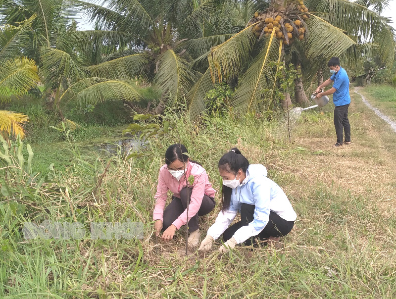 Chăm sóc cây xanh mới trồng tại xã Bình Thành.