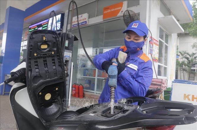 Thông qua dự án Nghị quyết trình UBTVQH về thuế bảo vệ môi trường đối với xăng, dầu Mua bán xăng tại một điểm kinh doanh của Petrolimex. Ảnh minh họa: Trần Việt/TTXVN