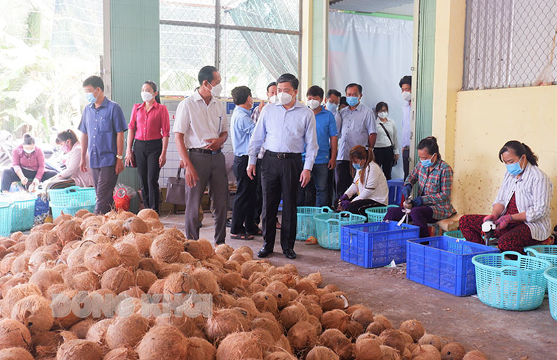 Ủy viên Trung ương Đảng - Bí thư Tỉnh ủy Lê Đức Thọ tìm hiểu hoạt động của Hợp tác xã nông nghiệp Thới Thạnh, xã Thới Thạnh, huyện Thạnh Phú. Ảnh: Minh Mừng