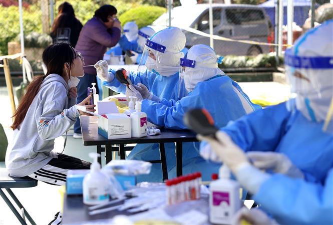 Trung Quốc dịch bệnh lại lập đỉnh, chuyên gia cảnh báo làn sóng mới vào mùa Thu Nhân viên y tế lấy mẫu xét nghiệm COVID-19 cho người dân tại Thượng Hải, Trung Quốc. Ảnh: THX/TTXVN