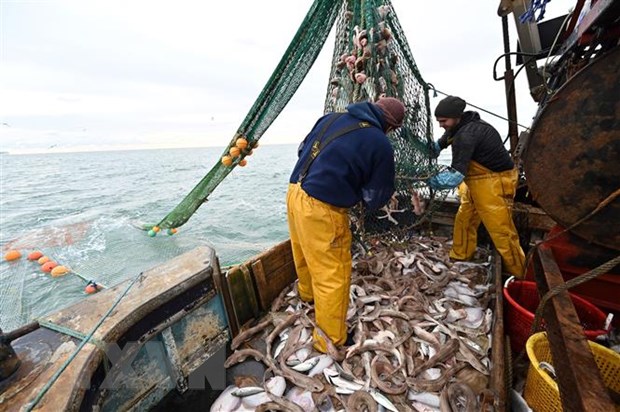 Ngư dân đánh cá ở ngoài khơi bờ biển phía Đông Nam nước Anh ngày 12-10-2020. (Ảnh: AFP/TTXVN)