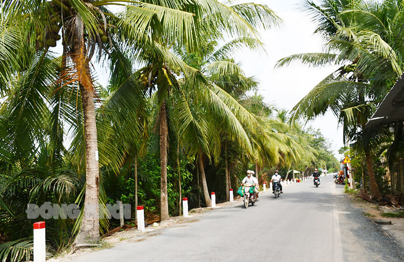 Đường nông thôn mới nâng cao Nhơn Thạnh.