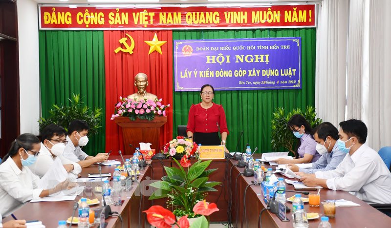 Phó Trưởng đoàn chuyên trách, Ủy viên Ủy ban Pháp luật của Quốc hội Nguyễn Thị Yến Nhi phát biểu tại hội nghị.