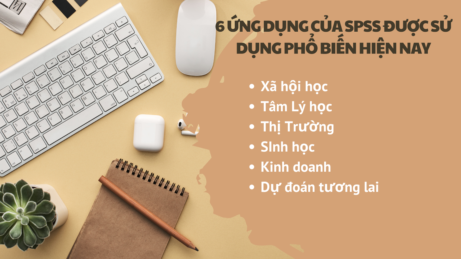 6 Ứng dụng của SPSS