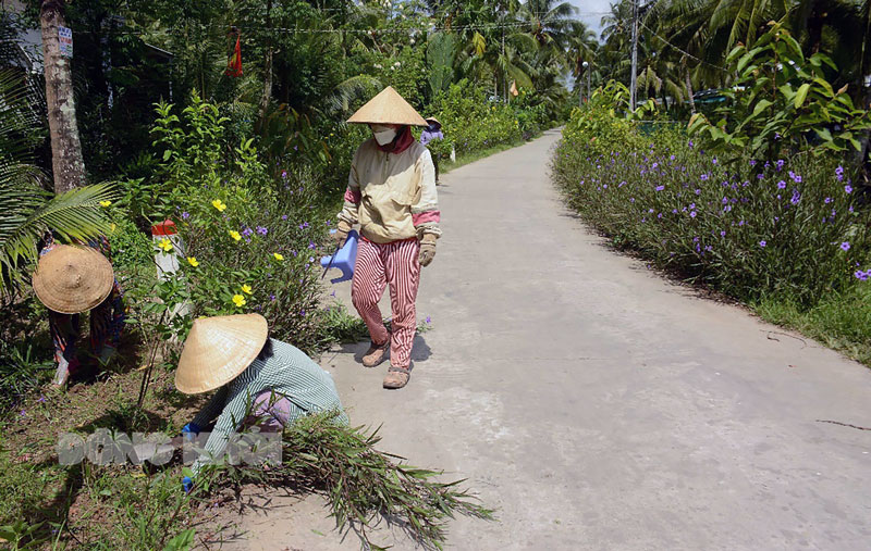 Các hộ dân ở xã Thành An, huyện Mỏ Cày Bắc tham gia “Ngày Chủ nhật nông thôn mới”. Ảnh: Hoàng Vũ