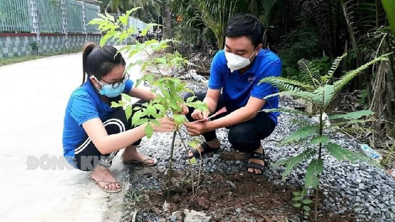 Tỉnh đã trồng trên 680 ngàn cây phân tán trong thực hiện Đề án trồng 1 tỷ cây xanh giai đoạn 2021- 2025.