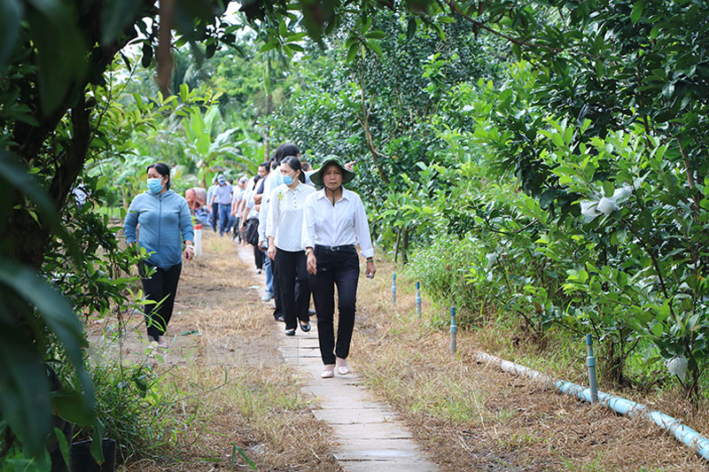 Phó chủ tịch Ủy ban MTTQ Việt Nam tỉnh Đặng Thị Phượng cùng đoàn khảo sát của tỉnh đi thực địa công tác giải phóng mặt bằng Dự án cầu Rạch Miễu 2.