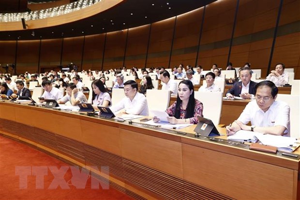 Đoàn đại biểu Quốc hội tỉnh Vĩnh Phúc dự phiên họp. Ảnh: Doãn Tấn/TTXVN