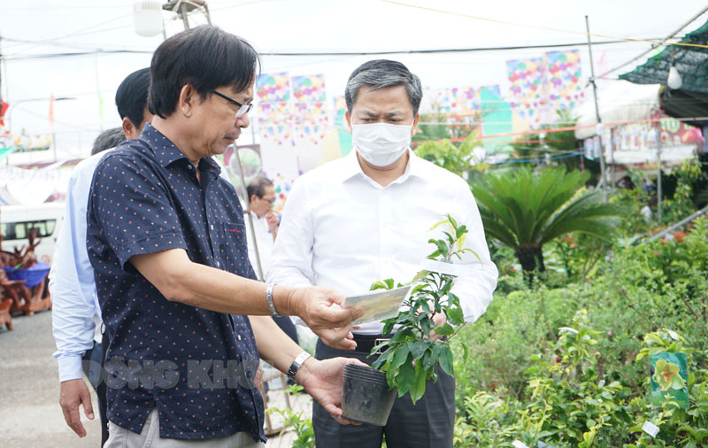 Ủy viên Trung ương Đảng - Bí thư Tỉnh ủy Lê Đức Thọ và đoàn công tác tham quan khu vực cây giống tại Hội chợ Thương mại cây - trái huyện Chợ Lách. Ảnh: Thanh Đồng