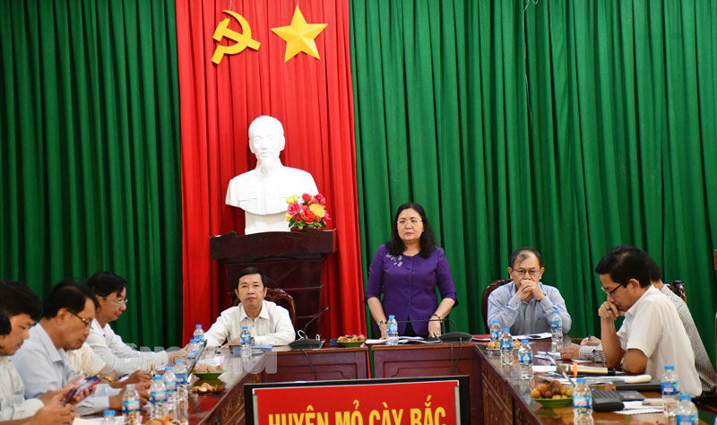 Phó bí thư Thường trực Tỉnh uỷ - Chủ tịch HĐND tỉnh Hồ Thị Hoàng Yến phát biểu tại buổi khảo sát.