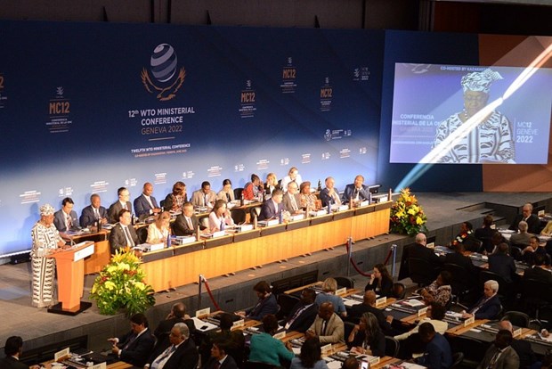 Việt Nam tham dự Hội nghị Bộ trưởng WTO lần thứ 12 tại Geneva Lễ khai mạc Hội nghị bộ trưởng WTO. (Nguồn: Congthuong)