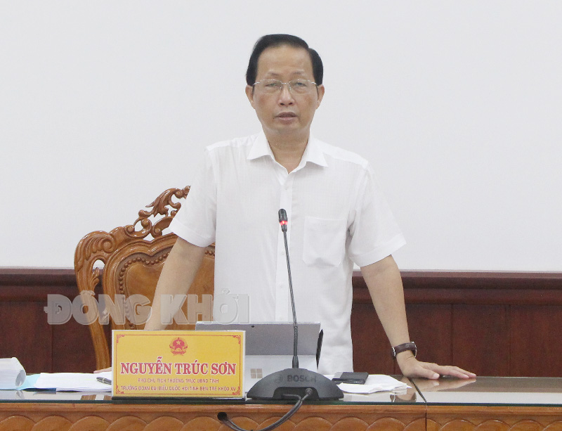 Phó chủ tịch Thường trực UBND tỉnh - Trưởng đoàn đại biểu Quốc hội tỉnh Nguyễn Trúc Sơn kết luận cuộc họp.