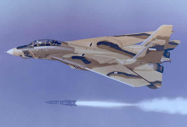 Một chiếc F-14 Tomcat của Iran. Ảnh minh họa: Breitbart