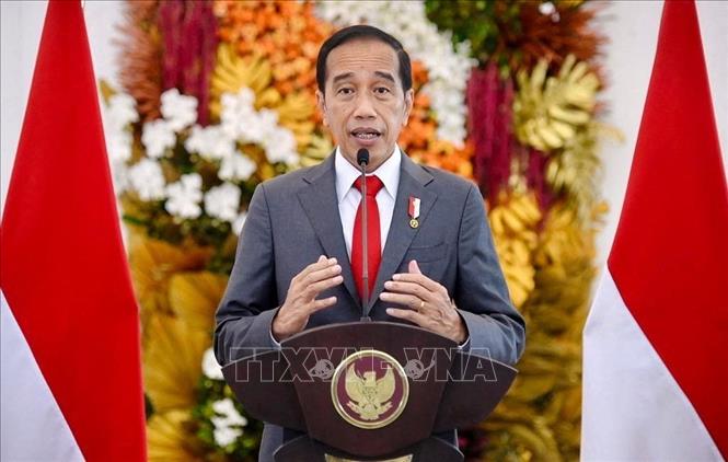 Tổng thống Indonesia Joko Widodo phát biểu tại cuộc họp ở Bogor, Indonesia. Ảnh tư liệu: AFP/TTXVN