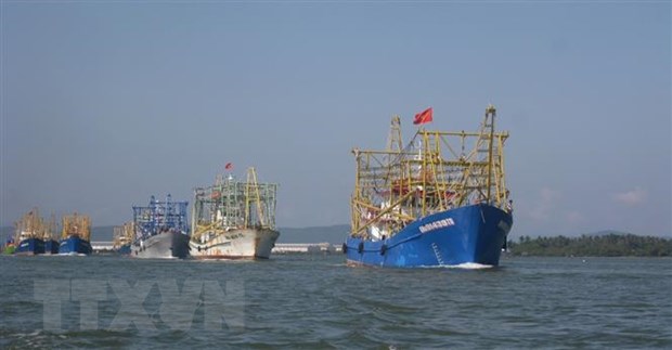 Yêu cầu Trung Quốc tôn trọng chủ quyền của Việt Nam đối với Hoàng Sa (Ảnh minh họa: Đoàn Hữu Trung/TTXVN)