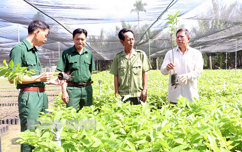 Cựu chiến binh Nguyễn Văn Chót (bìa phải), ngụ ấp Phú Thuận, xã Phú Mỹ (Mỏ Cày Bắc) được sự hỗ trợ của các đồng đội từ mô hình “5+1” đã vươn lên khá, giàu.