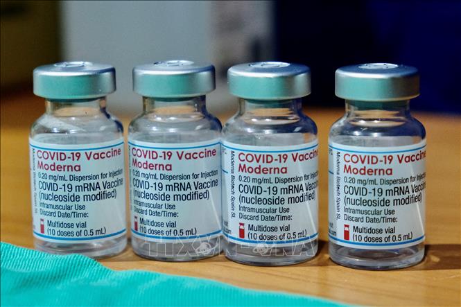 Vaccine ngừa COVID-19 của hãng dược phẩm Moderna. Ảnh tư liệu: AFP/TTXVN