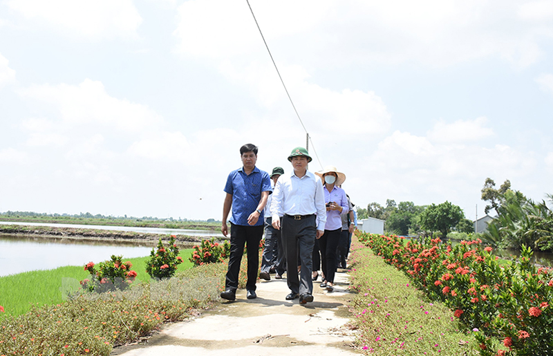 Đoàn công tác tỉnh Bến Tre khảo sát mô hình liên kết nuôi tôm - lúa theo hướng hữu cơ tại Hợp tác xã Trí Lực.