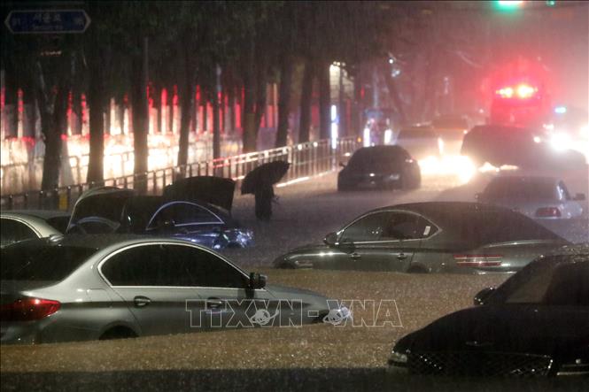 Hàn Quốc công bố 10 địa phương thuộc "Khu vực thảm họa đặc biệt" Nhiều xe ô tô bị ngập nước sau trận mưa lớn tại Seoul, Hàn Quốc, ngày 8-8-2022. Ảnh: THX/TTXVN