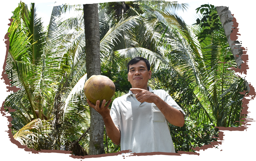 Câu chuyện “Dừa Organic” Bến Tre ra thế giới