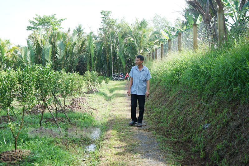 Người dân an tâm trồng trọt, sản xuất cây giống bên trong đê bao.