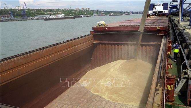Ngũ cốc được chuyển lên tàu chở hàng tại cảng quốc tế Rostov-on-Don, Nga ngày 26-7-2022. Ảnh: AFP/TTXVN