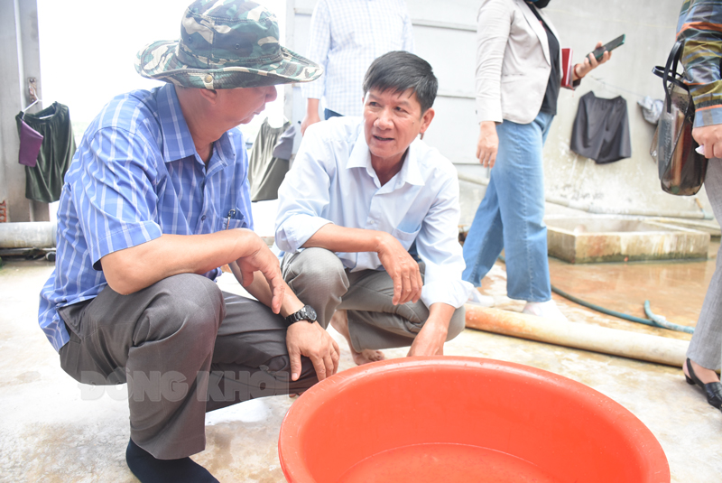 Đoàn khảo sát đi thực tế mô hình nuôi tôm công nghệ cao tại hộ ông Huỳnh Văn Sia.