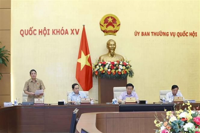 'Bảo hiểm xã hội nên tham gia đấu thầu thuốc để giảm tải cho ngành Y tế' Phó Chủ tịch Quốc hội Nguyễn Đức Hải phát biểu tại phiên họp. Ảnh: Doãn Tấn/TTXVN