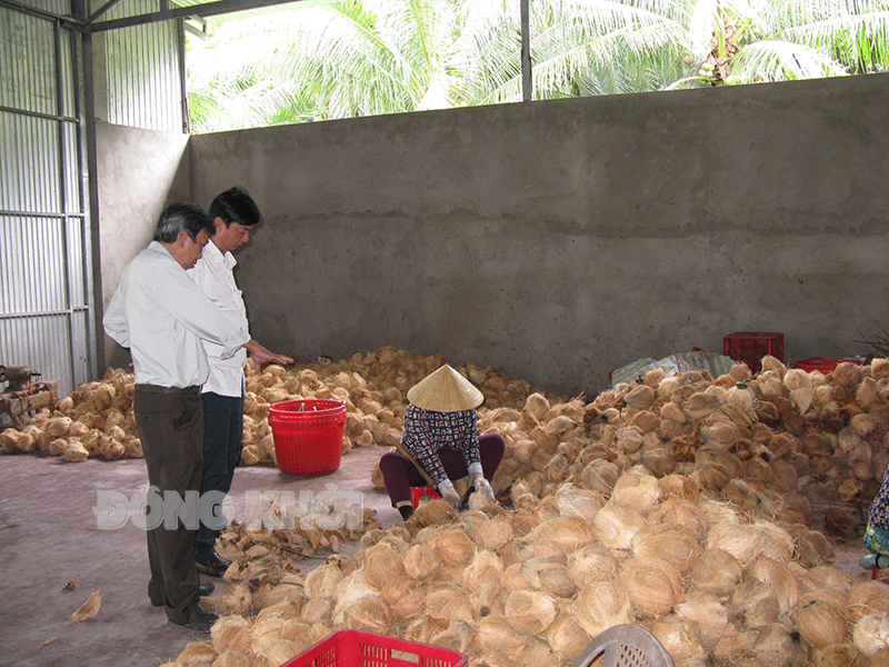 Đoàn khảo sát thực tế, trao đổi và hỗ trợ giải quyết vướng mắc tại Công ty TNHH Thương mại dừa Thành Danh, xã Hưng Nhượng