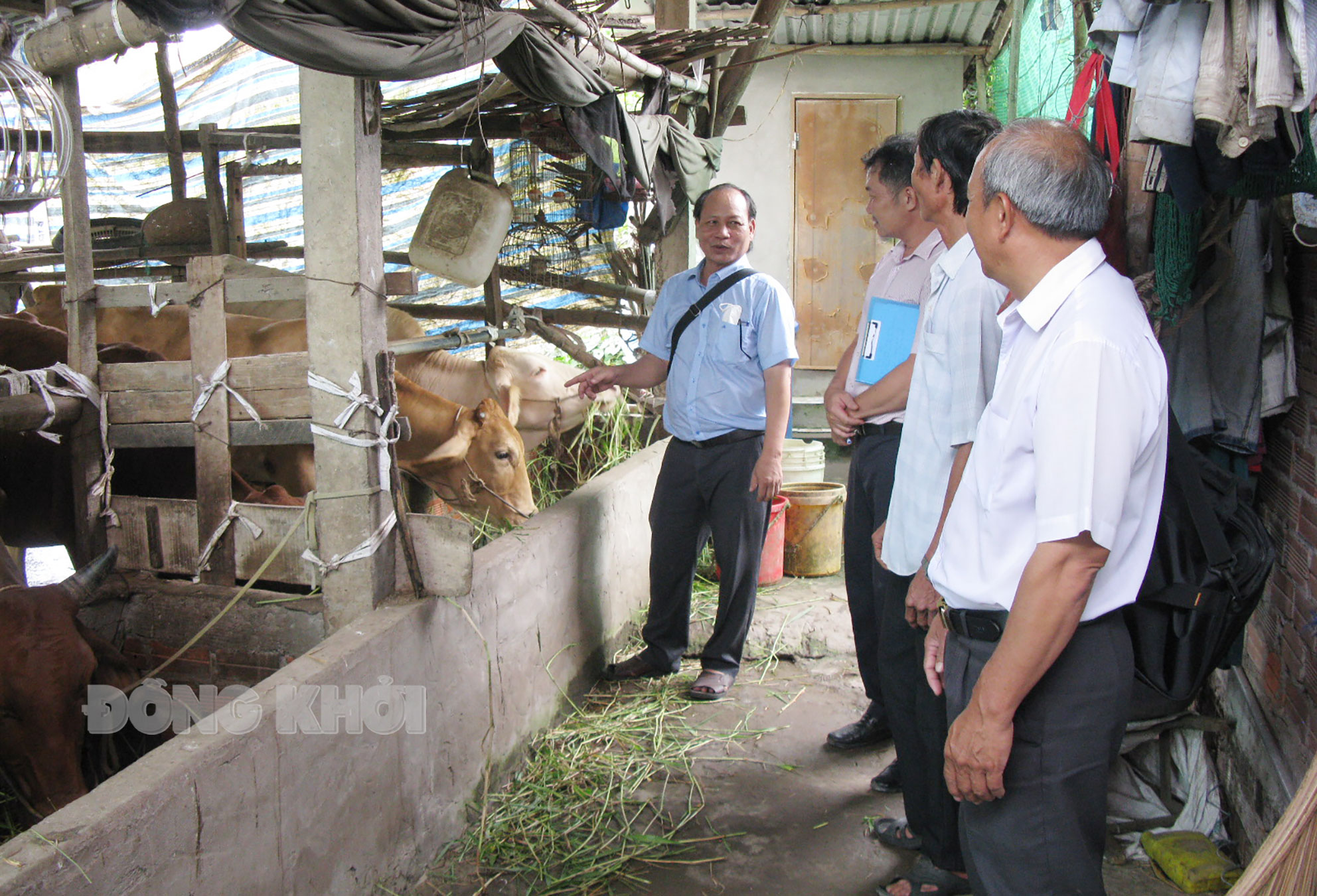Đoàn khảo sát thực tế tại hộ hộ Nguyễn Văn Bé Anh (ấp Giồng Quéo).