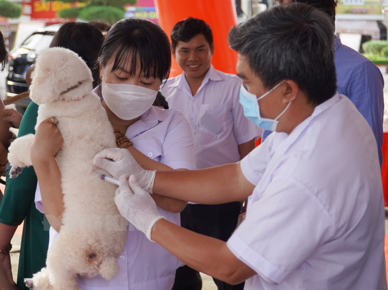 Đẩy mạnh tuyên truyền, tăng tỷ lệ tiêm phòng bệnh dại Người dân đưa chó nuôi tiêm ngừa dại tại lễ mít-tinh Ngày Thế giới phòng chống bệnh dại.
