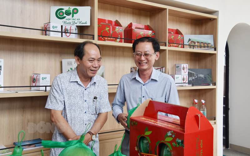 Phó chủ tịch UBND Nguyễn Minh Cảnh thăm HTX Bưởi da xanh Bến Tre.