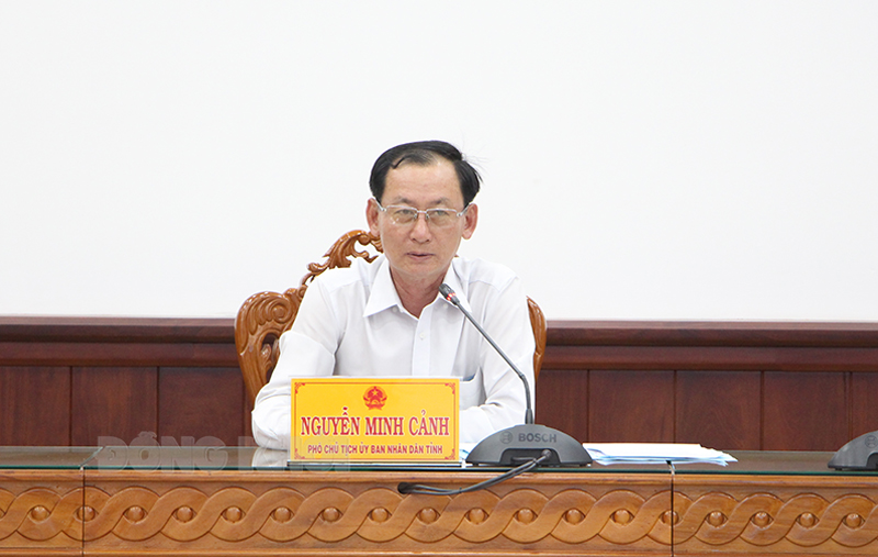 Phó chủ tịch UBND tỉnh Nguyễn Minh Cảnh phát biểu kết luận tại cuộc họp.