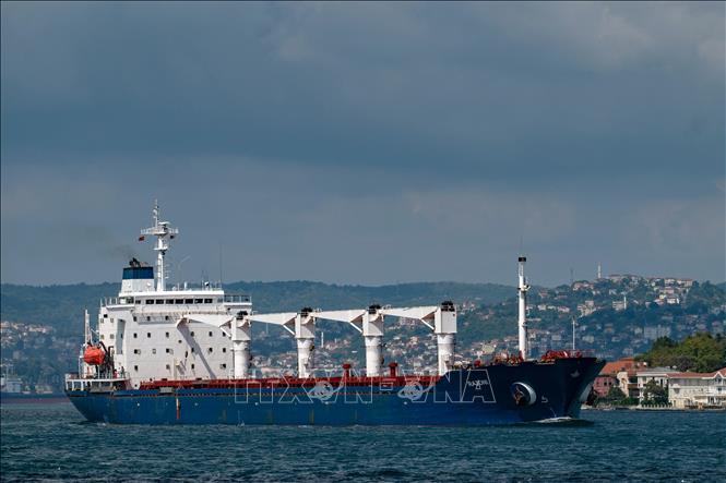 Tàu chở ngũ cốc từ Ukraine di chuyển dọc Eo biển Bosphorus ở Istanbul, Thổ Nhĩ Kỳ, ngày 3-8-2022. Ảnh tư liệu: AFP/TTXVN