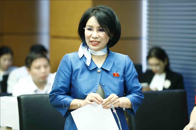 Sửa đổi Luật Giá phải lưu ý giá trần và giá sàn, tránh 'viên thuốc rẻ hơn viên gạch' Đại biểu Quốc hội thành phố Hà Nội Trần Thị Nhị Hà phát biểu ý kiến. Ảnh: Minh Đức/TTXVN