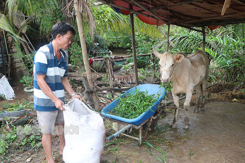 Hộ anh Nguyễn Thanh Tâm, xã Phú Long vừa được thoát nghèo năm 2022.