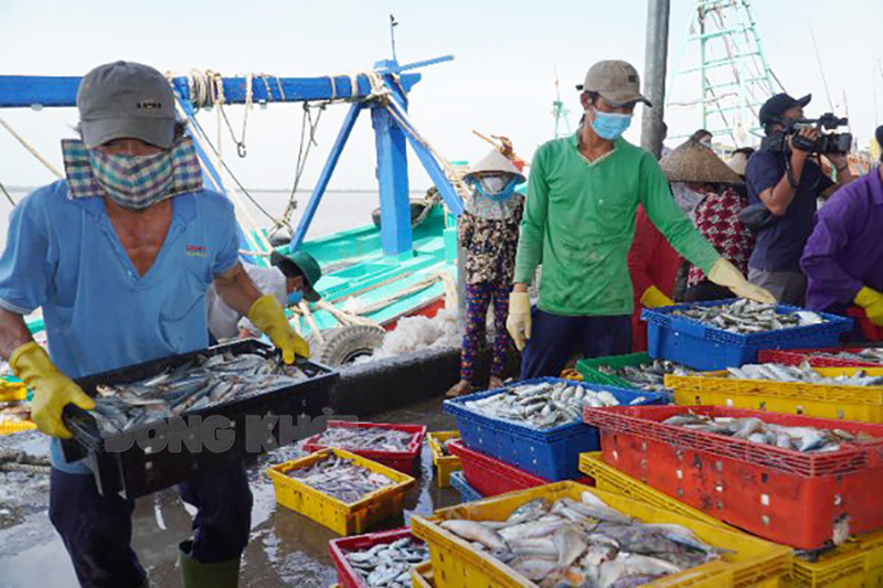 Bước chuyển trong chống khai thác hải sản bất hợp pháp Tình hình khai thác thủy sản bất hợp pháp có bước chuyển tích cực trên địa bàn tỉnh.