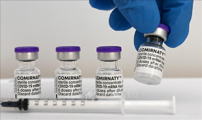 Vaccine phòng COVID-19 của hãng dược Pfizer-BioNTech. Ảnh: AFP/TTXVN