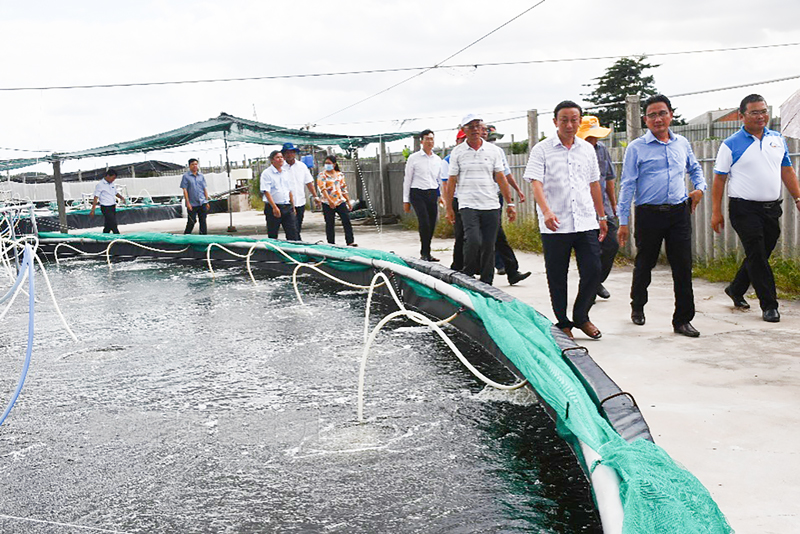 Khảo sát khu nuôi tôm công nghệ cao ở xã Thạnh Hải, huyện Thạnh Phú.