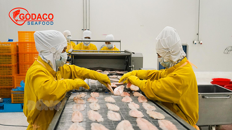 Bến Tre có 840 ha diện tích thả nuôi cá tra Chế biến cá tra xuất khẩu tại Công ty Cổ phần Gò Đàng, Khu Công nghiệp An Hiệp: Ảnh: Duy Thịnh