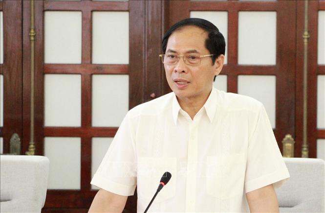 Bộ Chính trị, Ban Bí thư xem xét, thi hành kỷ luật một số tổ chức, cán bộ, đảng viên Bộ trưởng Bộ Ngoại giao Bùi Thanh Sơn. Ảnh: TTXVN