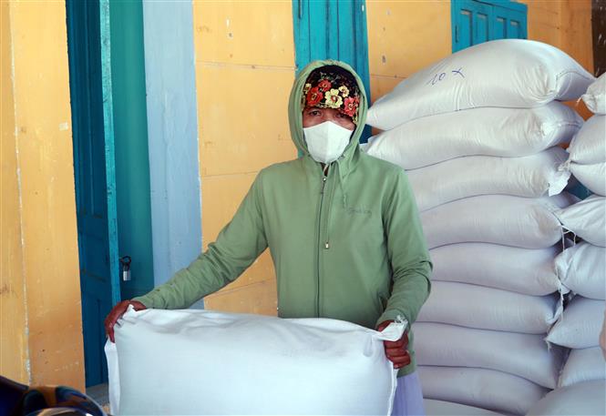 Xuất cấp không thu tiền trên 5.753 tấn gạo cho 3 tỉnh hỗ trợ nhân dân dịp Tết Nguyên đán. Ảnh: TTXVN