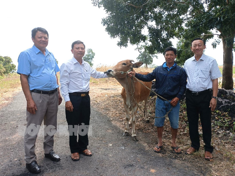 Bí thư Huyện ủy Châu Văn Bình (bìa phải) trao bò cho hộ nghèo xã Ia Rvê.