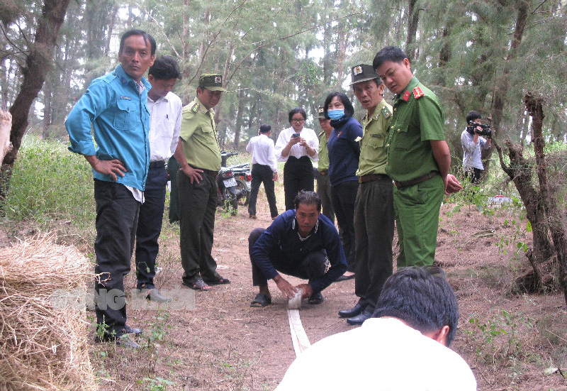 Đoàn kiểm tra đi thực tế tại khu vực rừng trồng phi lao Tiểu khu 19, xã Thạnh Hải (Cồn Bửng).