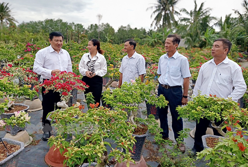 Bí thư Huyện ủy Chợ Lách Nguyễn Văn Đảm (bên trái) tham quan vườn hoa giấy của thành viên Câu Lạc bộ.