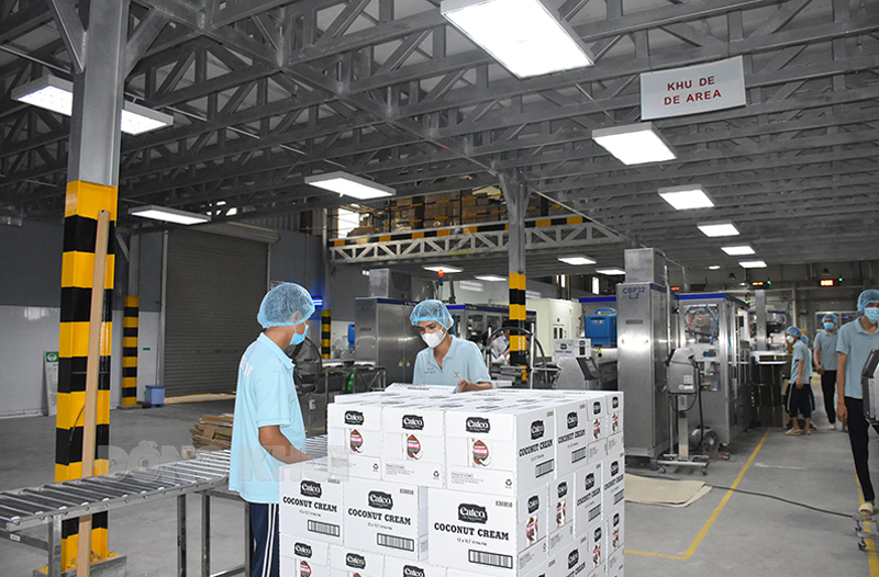 Doanh nghiệp “dẫn đầu” ngành dừa dự báo tình hình sản xuất Ngành dừa gặp khó khăn chung, do đó cần phải liên kết, sản xuất theo chuỗi.