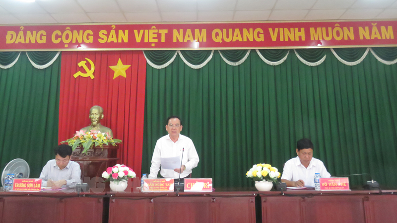 Phó bí thư Tỉnh ủy - Chủ tịch UBND tỉnh Trần Ngọc Tam phát biểu tại buổi làm việc.